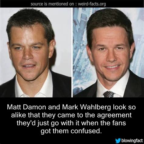 Matt Damon Mark Wahlberg Mark Wahlberg And Matt Damon Photos Photos