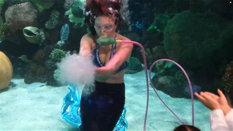Playful Las Vegas Mermaid Youtube