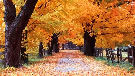 Autumn 4k Wallpapers For Your Desktop Or Mobile Screen Free And Easy To