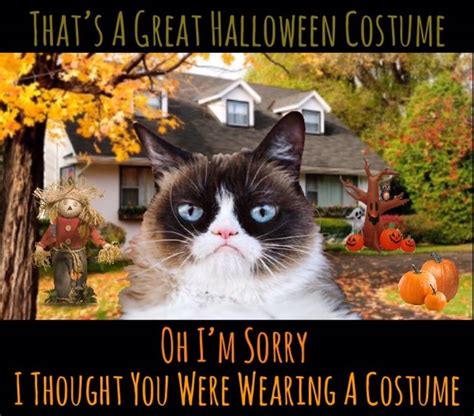 Adorable Grumpy Cat Halloween Costume