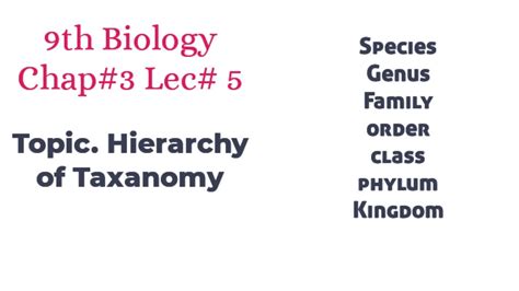 Lecture 5 Class 9th Biology Hierarchy Of Taxonomy Chapter 3 Youtube