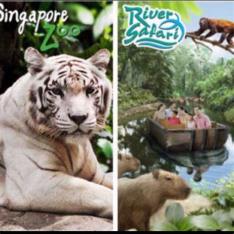 Singapore Zoo River Safari Night Safari Jurong Bird Park Ticket