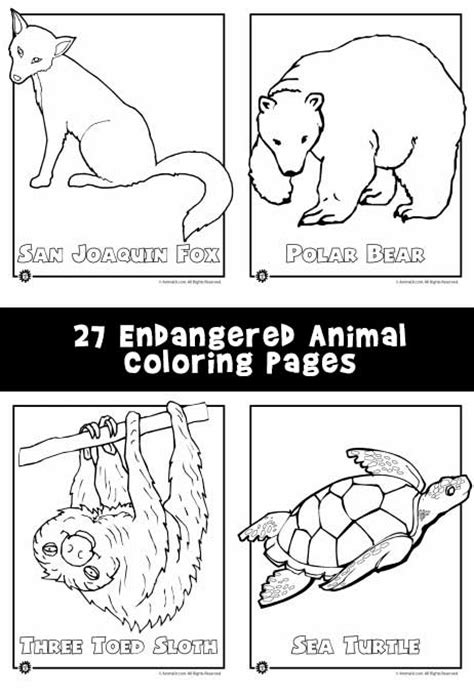A huge collection of printable animal coloring pages to download & color. Endangered Animals Coloring Pages: Animals from North America, the Rainforest & the Ocean | Woo ...