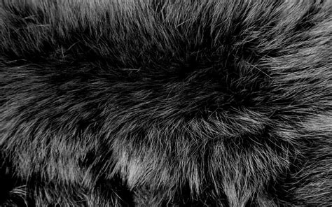 Fur Texture 7 By Bfstock On Deviantart