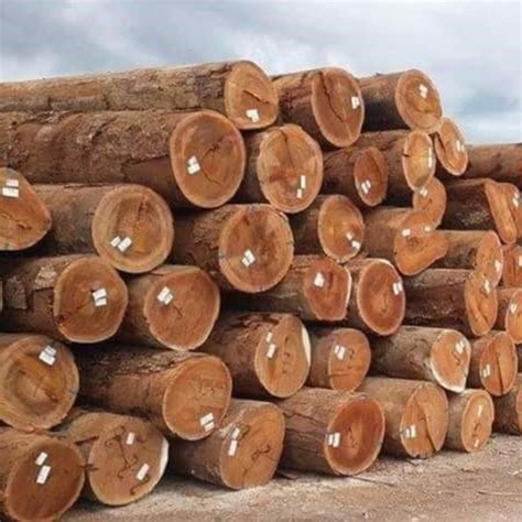 Round Teak Wood Logs At Best Price In Pathum Thani Procsell Enterprise