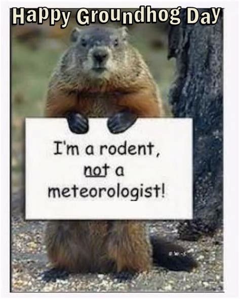 Happy Groundhog Day Funny Quote Pictures Photos And Images For