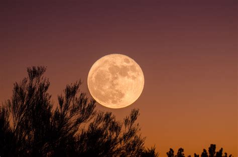 ¿por Qué Siempre Vemos La Misma Cara De La Luna Eltiempoes