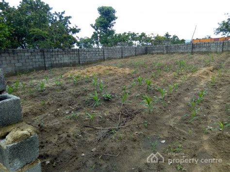 For Sale 600 Square Meters Of Land With R Of O Plot No 3291