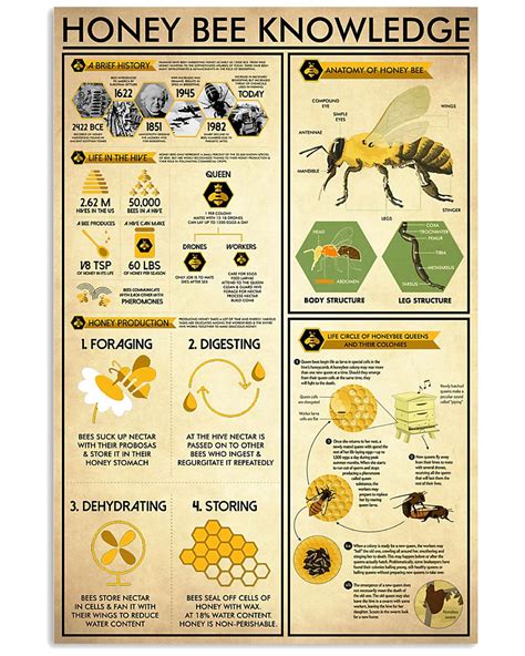 Honey Bee Knowledge 001