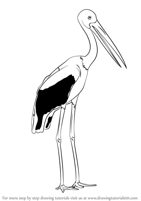 To draw your feet, you will need only a pencil, a sheet of paper, and a good eraser. Learn How to Draw a Black-Necked Stork (Birds) Step by ...