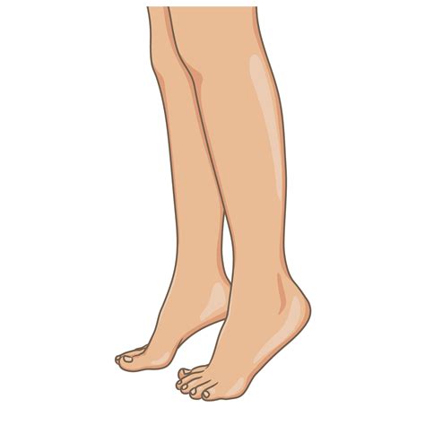 Piernas Femeninas Descalzas Vista Lateral Ilustración Vectorial Estilo De Dibujos Animados