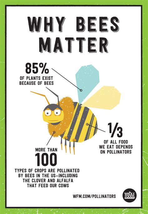 Whole Kids Blog Bee Keeping Bee Facts Bee