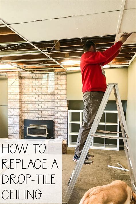 Ceiling panels are a popular choice for repair/replacement and practical option for light commercial spaces. One Room Challenge Week 2: Replacing a Basement Drop-Tile ...