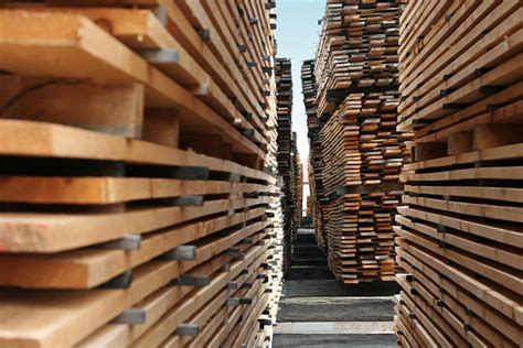 Lumberyard Stock Photos Pictures And Royalty Free Images Istock