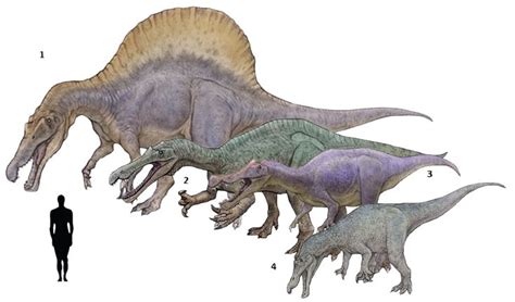 Featured image of post Baryonyx Jurassic World Spinosaurus 100 genome gene not modified