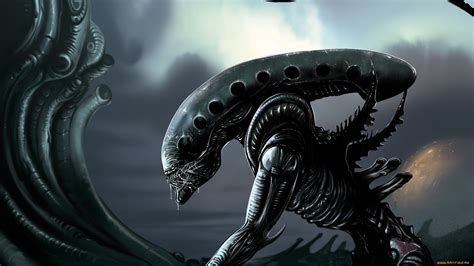 Alien Full Hd Wallpaper And Background Image 1920x1080 Id393630