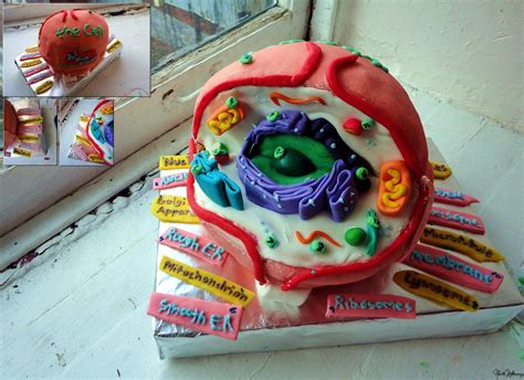 14 Cakes Inspired By Scientific Concepts | Science cake ...