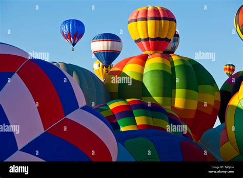 Hot Air Balloons Ascending At The Albuquerque New Mexico International