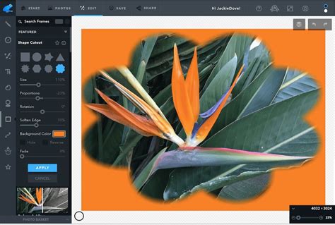 The best photo editor overall is: Photoshop Alternatives: The 10 Best Free Online Photo Editors
