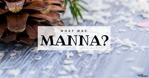 What was manna? | GotQuestions.org
