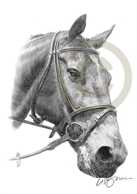 Brown Horse Pencil Drawing Print Artwork Signed By Artist Etsy Uk