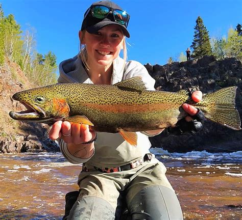 Trout Fishing In Duluth Mn Unique Fish Photo