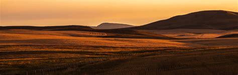 The transition from care coordination to the new care team model has been nothing short of traumatic for alliance's staff. Our Members - Behavioral Health Alliance of Montana