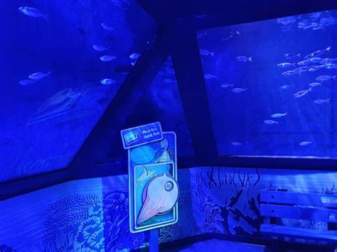 Sea Life Aquarium Carlsbad 2020 All You Need To Know Before You Go