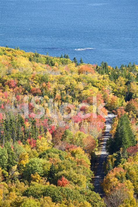 Strada Dautunno Il Parco Nazionale Di Acadia Maine Fotografie Stock