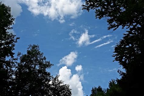 Poor air quality has economic and environmental consequences as well. Topic: Clean Air - DNREC Alpha