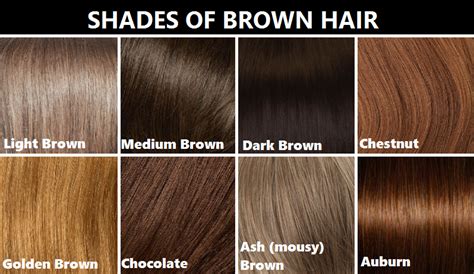 Which brown hair color is best? realrandomsam: smaugnussen: goddessofsax: ... | how to ...