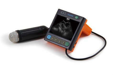Msu Pig Pregnancy Ultrasound Scanner Portable Ultrasound Machines