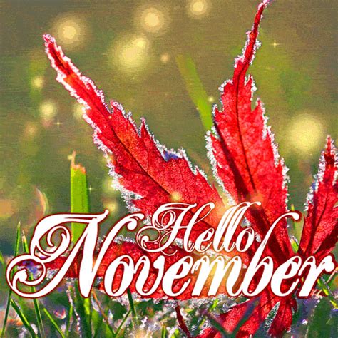 Hello November Download And Share Our Free Inspiration Card