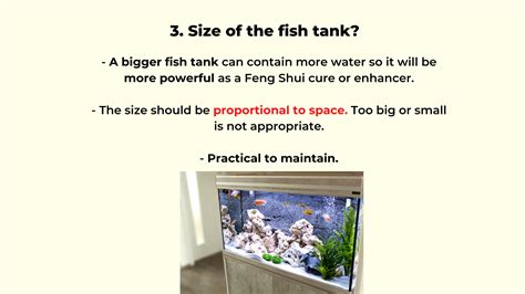 The Best Feng Shui Fish Tank Placement For Wealth Luck In 2021