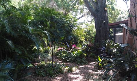 Landscape Tropical Landscape Tampa By Landscape Fusion Houzz