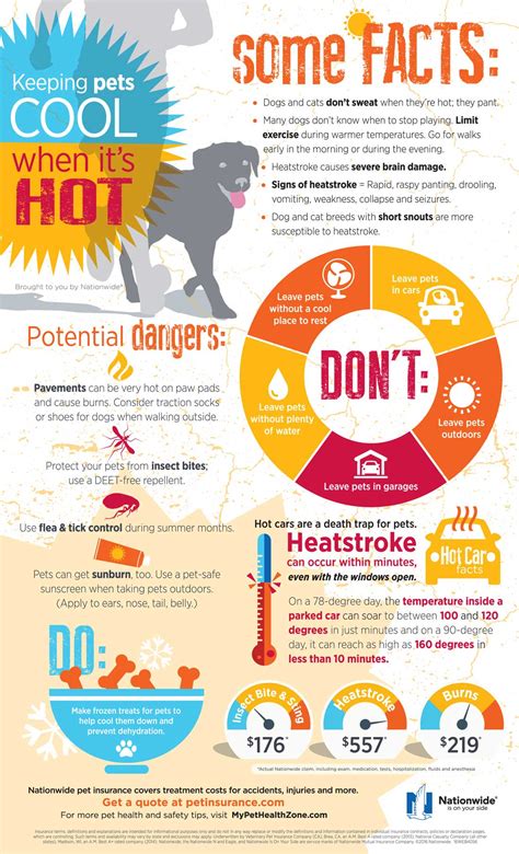 Louis are about to soar to triple digits and it can be especially dangerous for our furry friends. Pet Heat Wave Dangers | Pet Health Insurance & Tips
