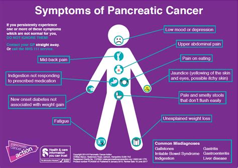 Pancreatic cancer symptoms are often barely noticeable or could be associated with other medical conditions. Pancreatic Cancer Symptoms