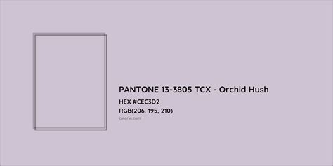 About Pantone 13 3805 Tcx Orchid Hush Color Color Codes Similar