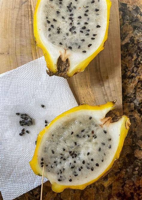 How To Grow Dragon Fruit Healthier Steps