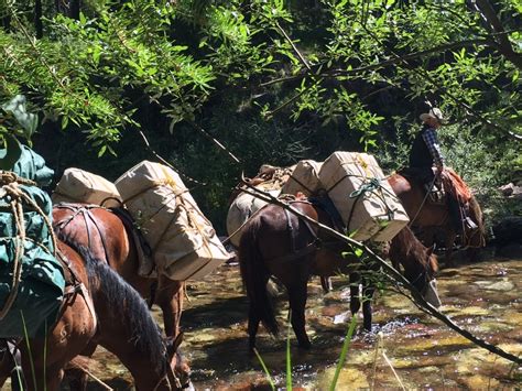 A Pack Trip In Montanas Bob Marshall Wilderness Part Three The