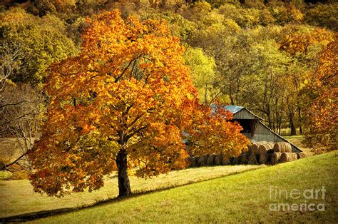 Autumn Rustic Barn Photograph By Cheryl Davis Fine Art America