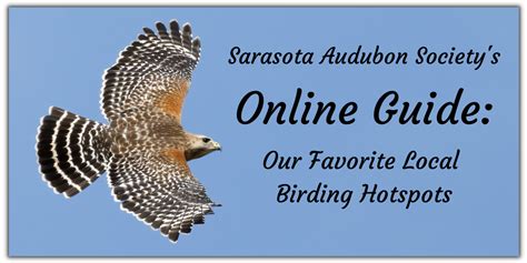 Online Guide Favorite Local Birding Hotspots Sarasota Audubon