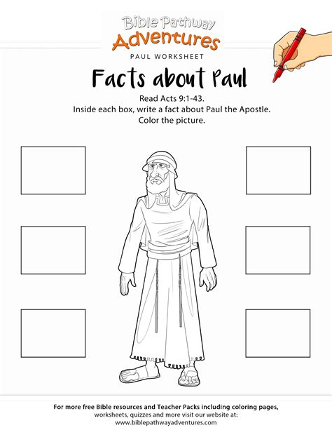 Facts About Paul Printable Bible Worksheet Paul Bible Bible Lessons