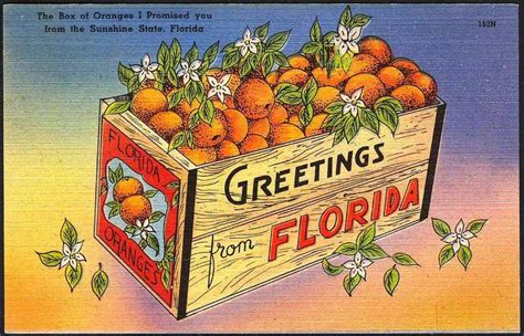 Vintage Florida Postcards