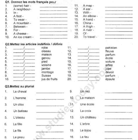 French Exercises For Beginners