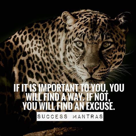 Don T Give Any Excuse Success Mantra Passion Quotes Mantras