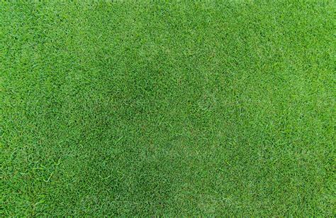Green Grass Texture Background Golf Course Grass Top View Of Green Grass Of Turf Lawn Texture