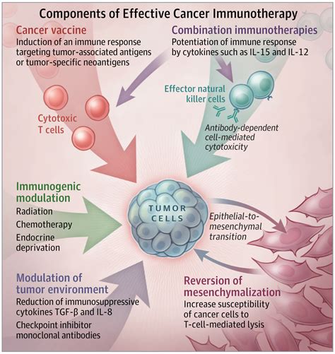 Vaccines As An Integral Component Of Cancer Immunotherapy Targeted