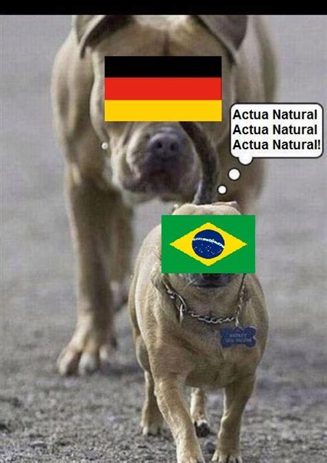 Brasil e alemanha chegaram às semifinais com campanhas invictas na competição. Memes Alemania vs Brasil en la Copa Mundial - Marcianos