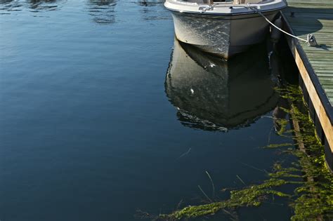 Wallpaper Boat Lake Reflection Calm River Dock Pov Seaweed